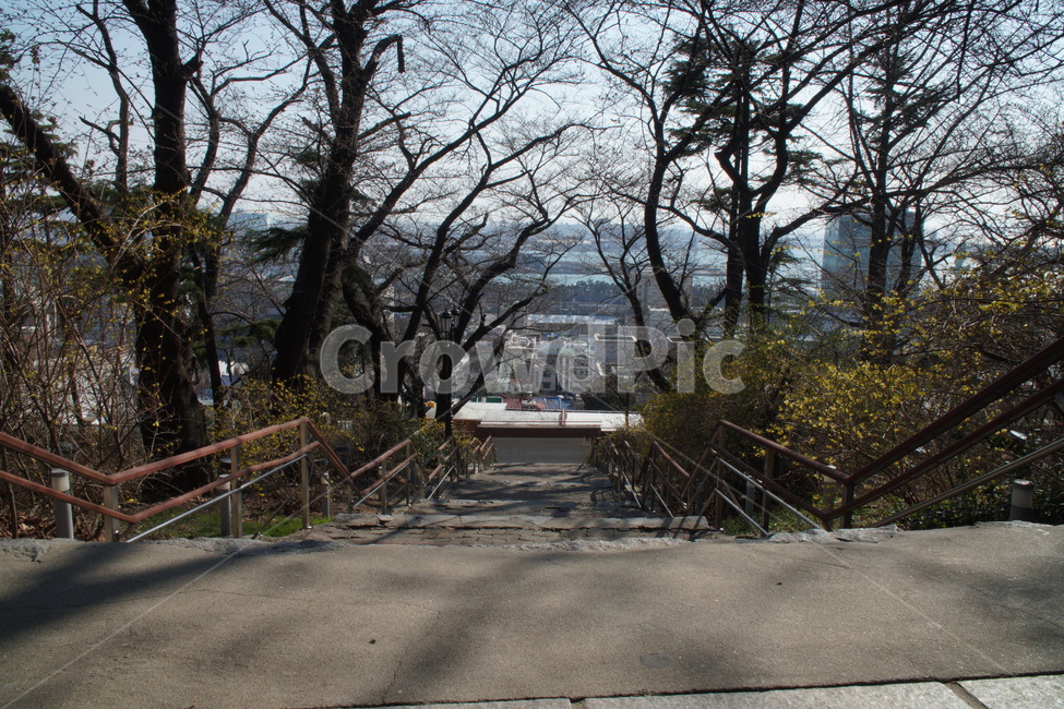 공원,공원계단,봄계단,내리막계단,내림계단,봄,계절,spring,season,tree,나무,plant,식물,outdoors,옥외