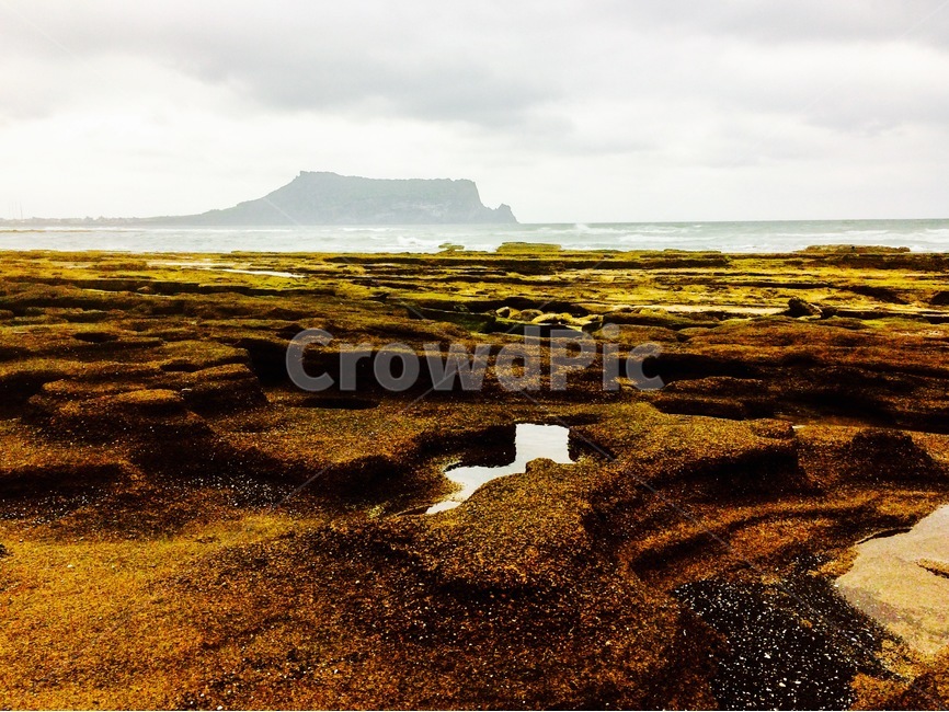 성산일출봉,제주풍경,jeju,제주도,제주성산일출봉,자연,풍경,nature,landscape,한국자연풍경,한국자연경관,korea nature landscape,제주도,jeju,jeju island,land,땅,outdoors,옥외,plateau,고원,tundra,동토대