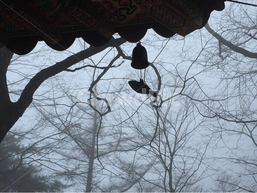 절,새벽,감성,풍경,자연,한국전통,한국문화,korean traditional,korean culture,종교,신앙,religion,belief,faith,건축물,건물외관,exterior,building,structure,architecture,construction