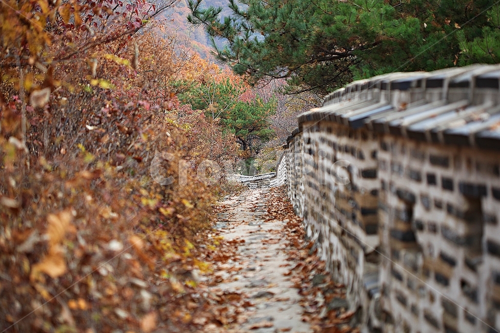 남한산성,성,성곽,단풍,낙엽,길,둘레길,담,돌담,가을,자연,풍경,벽,울긋불긋,산성,식물,숲,숲길,가을,계절,fall,autumn,season