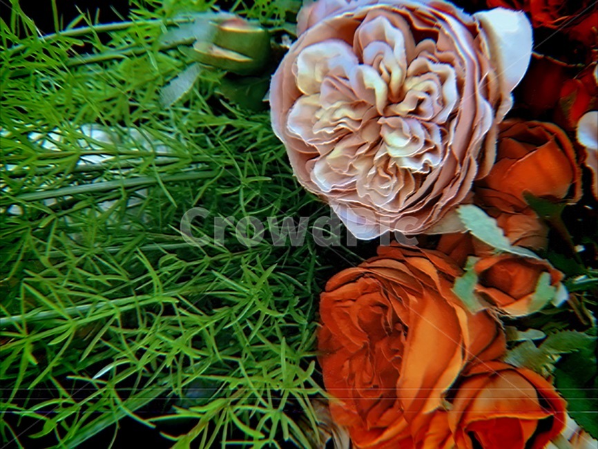 꽃,봄꽃,꽃다발,필름카메라,감성,감성꽃,식물,가드닝,인테리어,소품
