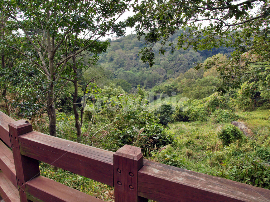 베릿내오름,목책,올레8코스,올레길,제주,서귀포시,자연,풍경,nature,landscape