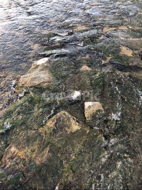 ground,바닥,rock,바위,이끼,물,water,강,개울