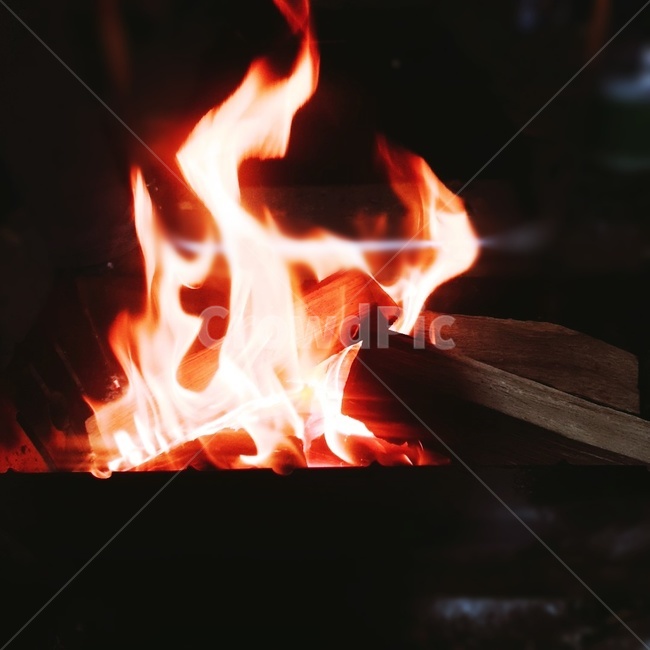 fire,불,장작,캠핑,불멍