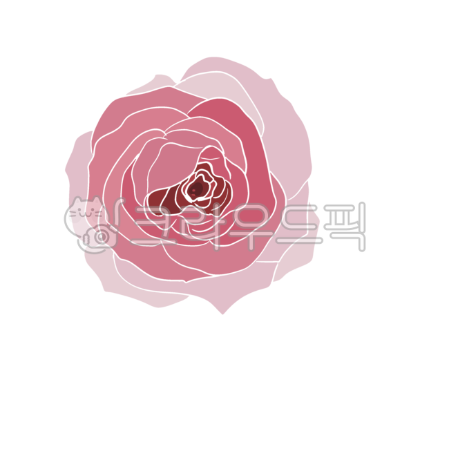 flower, rose, 장미, art, drawing, 사진,이미지,일러스트,캘리그라피 - pinkpig7작가