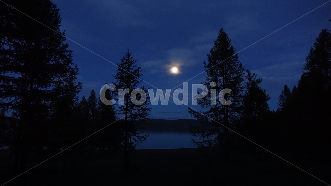 자연,nature,밤,dusk,저녁,푸른밤,숲,호수,lake,forest,몽골,몽고,MONGOLIA,홉스굴