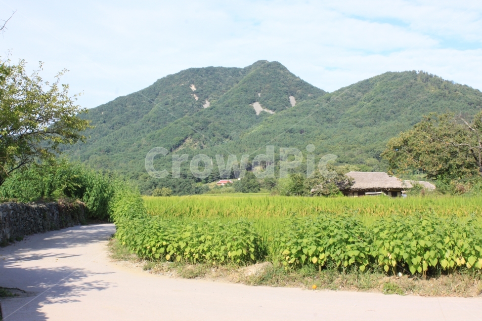 산,추억,시골집,초가집,가을,초록,가을풍경,하늘,자연,풍경,nature,landscape,한국자연풍경,한국자연경관,korea nature landscape,시골,마을,country,rural,town,한국전통,한국문화,korean traditional,korean culture,outdoors,옥외