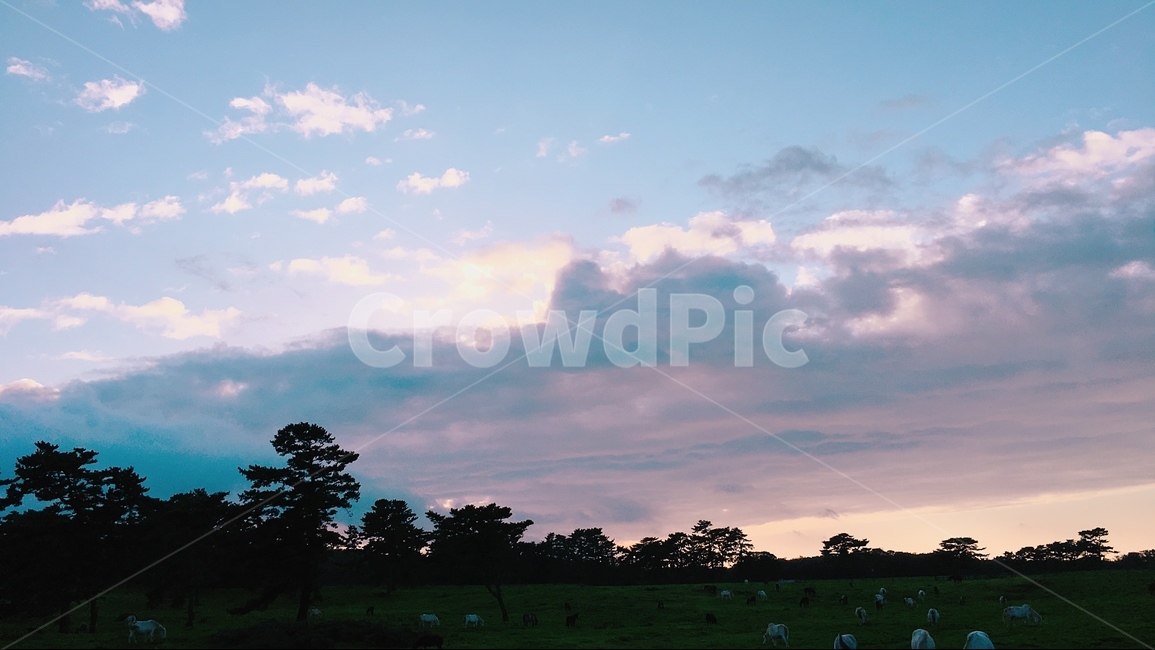 풍경,자연,하늘,노을,가을,자연,풍경,nature,landscape,outdoors,옥외
