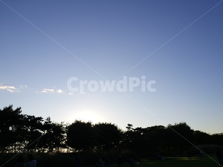 light,flare,플레어,빛,공원,자연,풍경,nature,landscape
