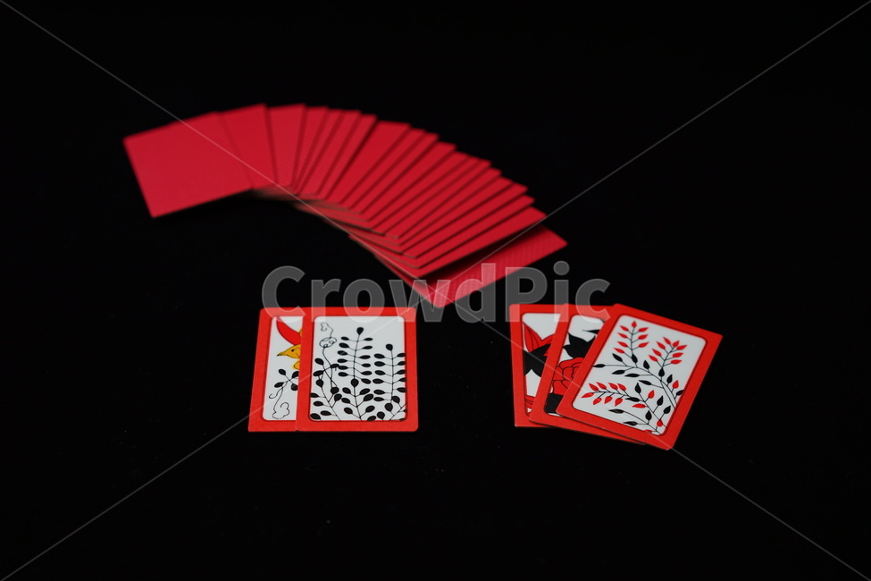 화투,고스톱,게임,놀이,도박,카드,카드게임,card,화투패,한국전통,한국문화,korean traditional,korean culture,게임,오락,놀이,game,play