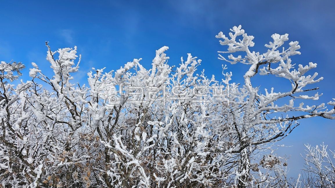 덕유산,덕유산상고대,무주덕유산,덕유산눈꽃,상고대,눈꽃산행
