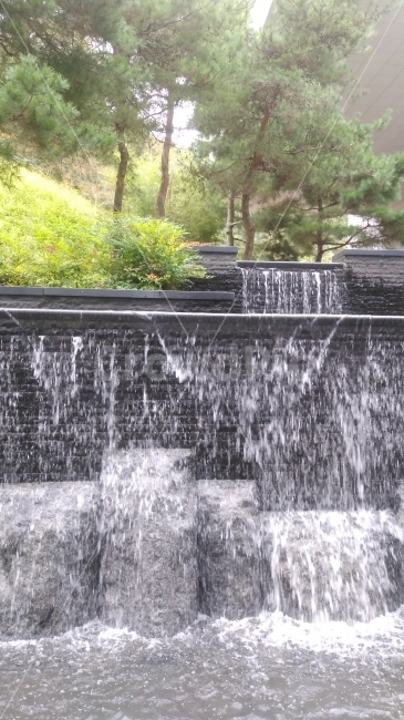 인공폭포,폭포,낙하,소나무,물