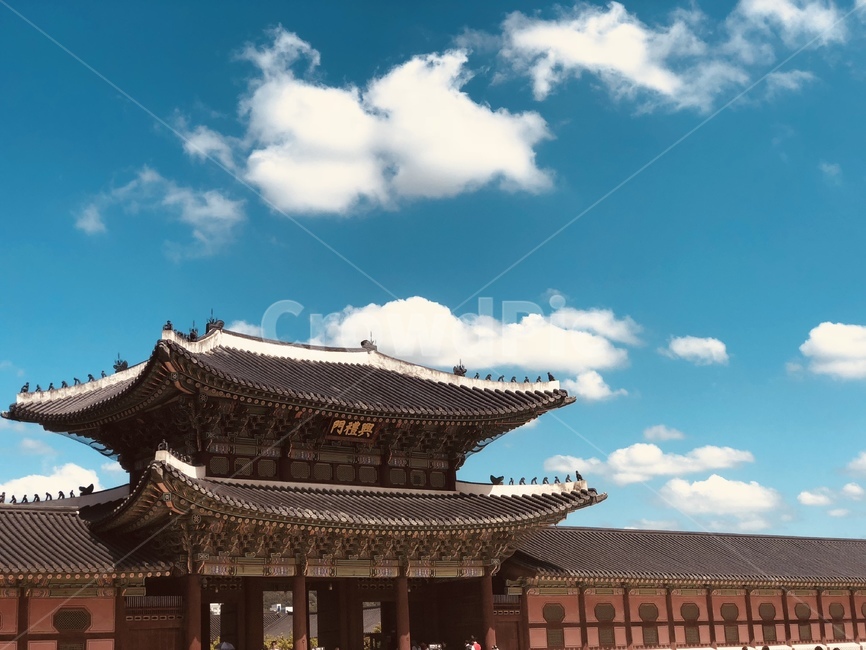 건물,궁,하늘,한국,서울,풍경,랜드마크,landmark,tourist attraction,한국랜드마크,한국관광지,한국명소,korea landmark,korea tourist attraction