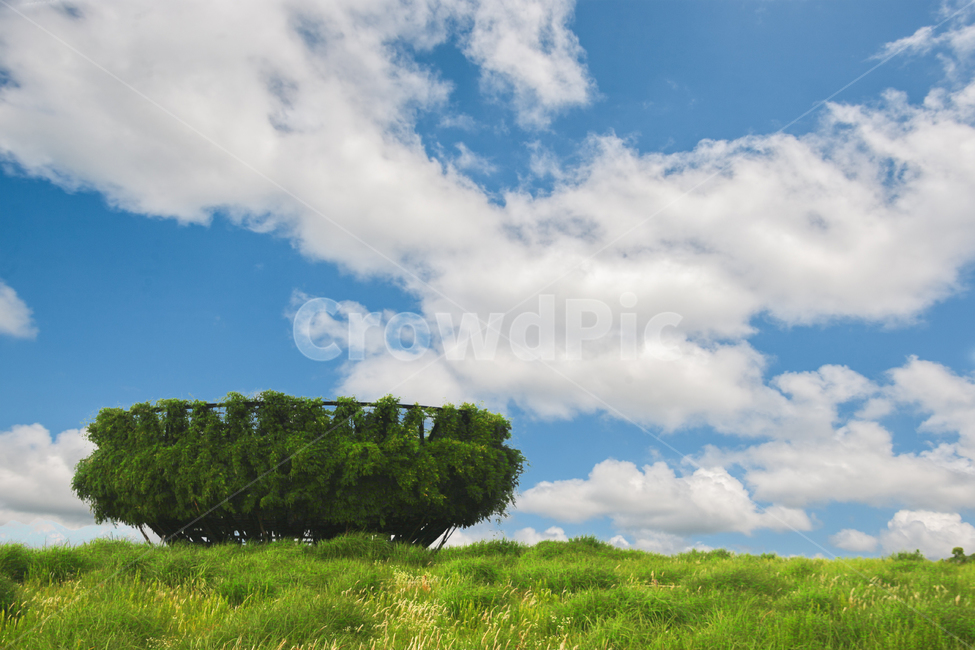 nature,field,목초지,하늘,들,grassland,블루데이,구름,cloud,sky,날씨,weather,자연