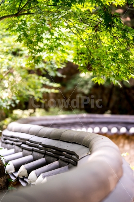 기와,담벼락,사찰,절,한국전통,한국문화,koreantradition,풍경,landscape,한국전통양식,temple,한국전통,한국문화,korean traditional,korean culture