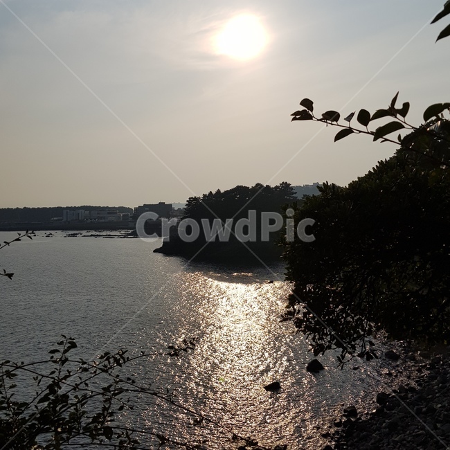 바다,sea,햇빛,하늘,물,자연,풍경,nature,landscape,flare,플레어,light,빛,outdoors,옥외,sunlight,water,bird,새,animal,동물