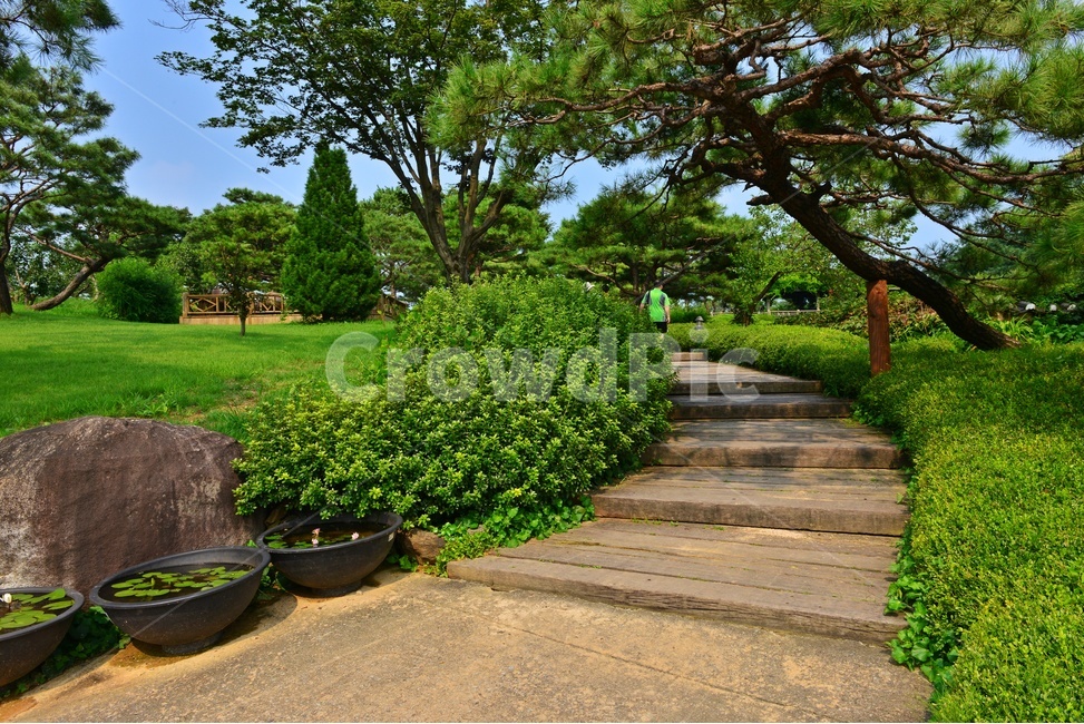 자연,nature,outdoors,옥외,scenery,풍경,landscape,경치,경기,안성,서일농원,garden,정원,plant,식물,grass,잔디,tree,나무,treetrunk,나무줄기,계단,길,boardwalk,산책로