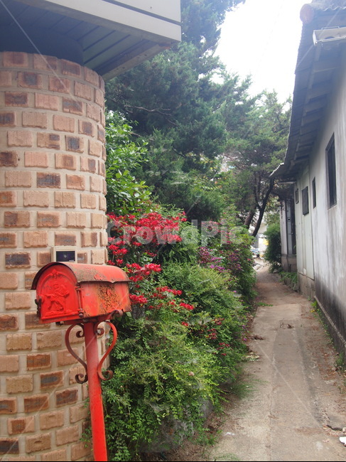 빨간우체통,풍경,골목길,우체통,좁은길,조경,빈티지,landscape,postbox,vintage,scenery,alley,narrowpath,redletterbox