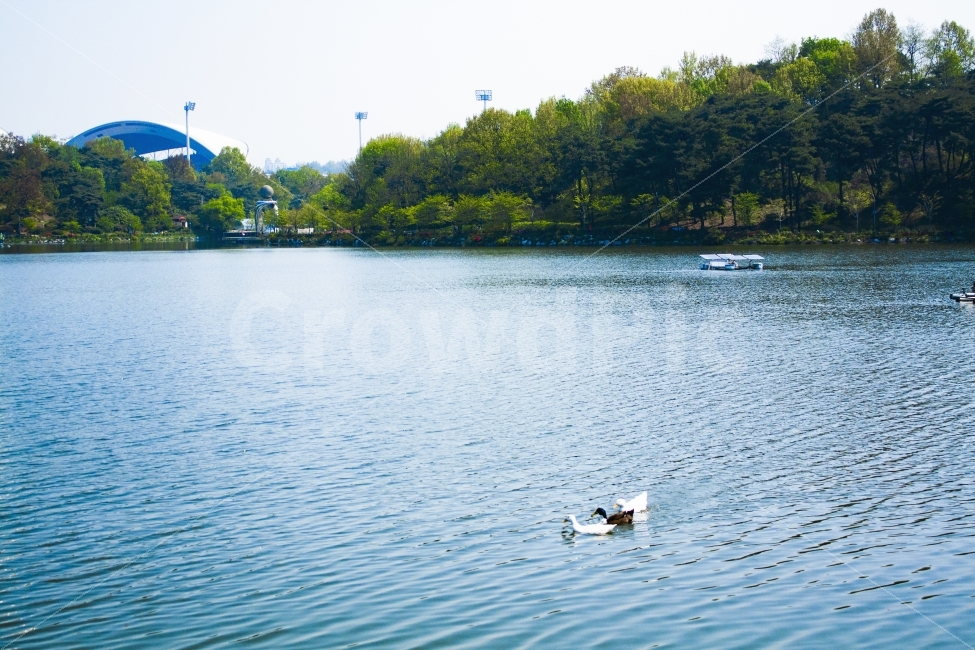 호수,오리,물결,햇살,잔잔함,파란색,자연,풍경,nature,landscape,동물,animal,조류,새,birds,water,물,outdoors,옥외