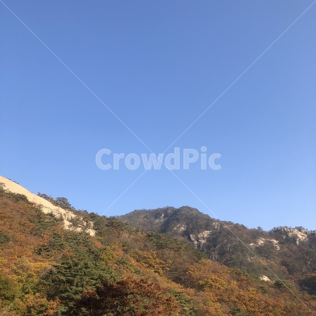 산,가을,계절,단풍,자연,nature,풍경,하늘,맑음