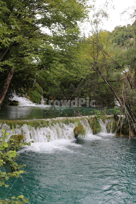 크로아티아,크로아시아,플리트비체,croatia,plitvice,plitvica,국립공원,공원,폭포,숲,요정숲,연못,강,호수,나무,여름,유럽,waterfall,pond,lake,park,tree,forest,자연,풍경,nature,landscape