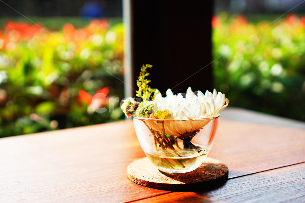 소품,햇살,여유,카페,감성,풍경,plants,sunlight,free,cafe,emotion,feeling,view,식물,자연,plants,nature,꽃,flower,감성,sensible,feeling,휴식,힐링,rest,relaxation,healing