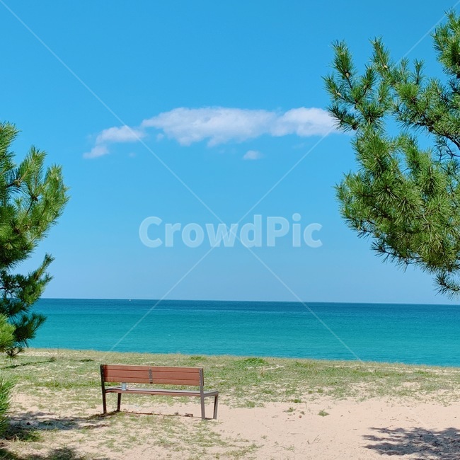 벤치,바닷가,바다,sea,강릉,동해바다,자연,풍경,nature,landscape,해변,바다,beach,sea,bench,tree,나무,plant,식물