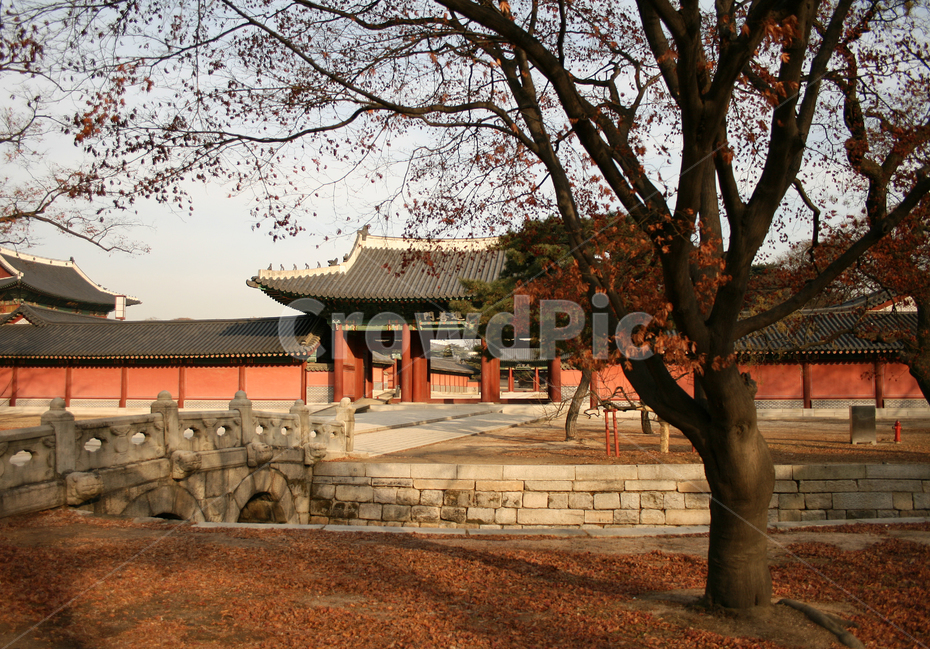 창덕궁,진선문,궁궐,한국의궁,세계문화유산,한국전통,한국문화,korean traditional,korean culture,랜드마크,landmark,tourist attraction,한국랜드마크,한국관광지,한국명소,korea landmark,korea tourist attraction