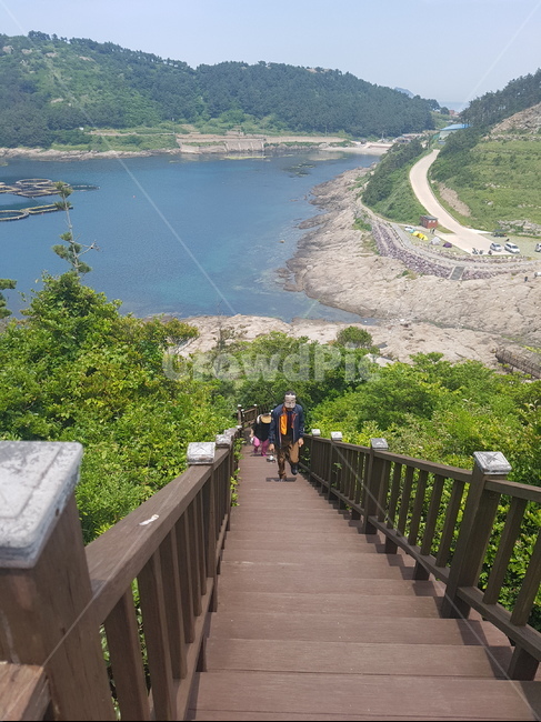 제주,제주도,추자도,여행,바다,올레길,제주도바다,하늘,풍경,자연,힐링,숲,길,구름,섬,나무,자연,풍경,nature,landscape,한국자연풍경,한국자연경관,korea nature landscape,제주도,jeju,jeju island,사람,인물,인간,human,person,railing,난간,handrail,banister,outdoors,옥외