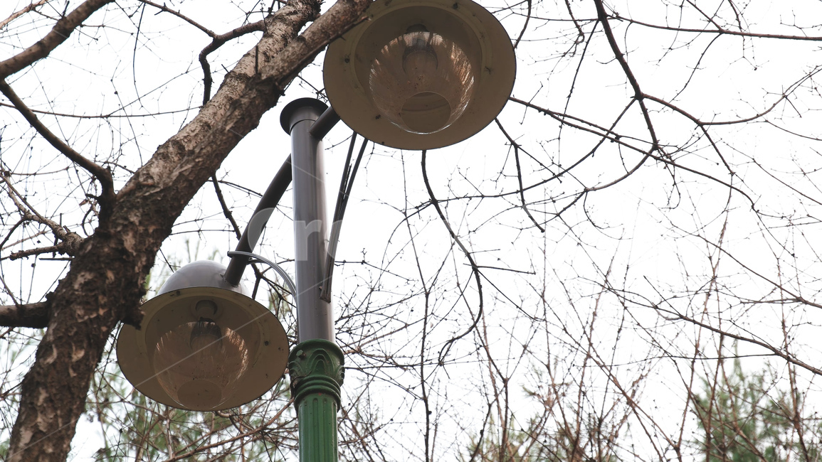 가로등,공원,겨울,필름느낌,차가운,거리,자연,풍경,nature,street,winter,streetlight,감성