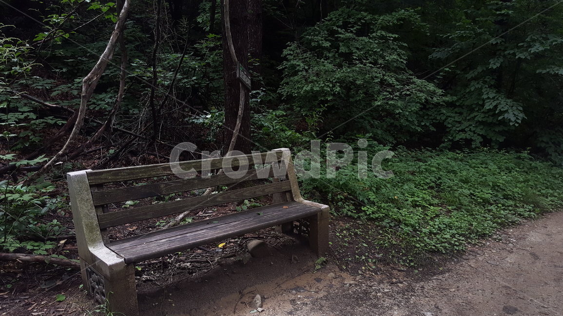 산,휴식,의자,자연,풍경,자연,풍경,nature,landscape,bench,벤치