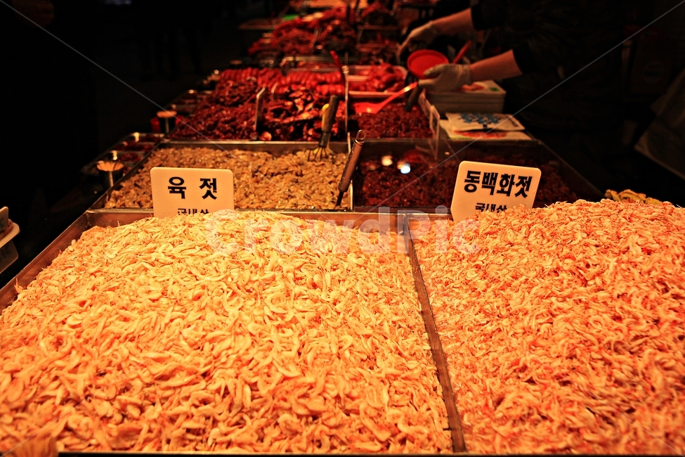 젓갈,젓,절인음식,음식,배경,먹거리,시장,마트,마켓,market,mart,market place,음식,식재료,요리,food,cook,meal,dishes,food reserves,수산물,해산물,fishery products,seafood