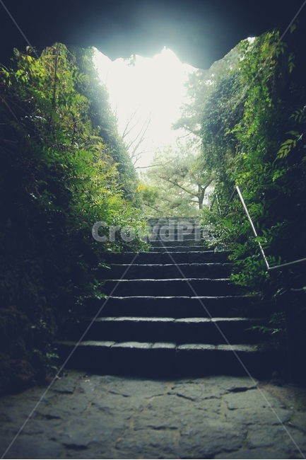 제주도,제주,jeju,한국,korea,동굴,cave,빛,light,미래,자연,풍경,nature,landscape,outdoors,옥외,garden,정원,arbour,정자