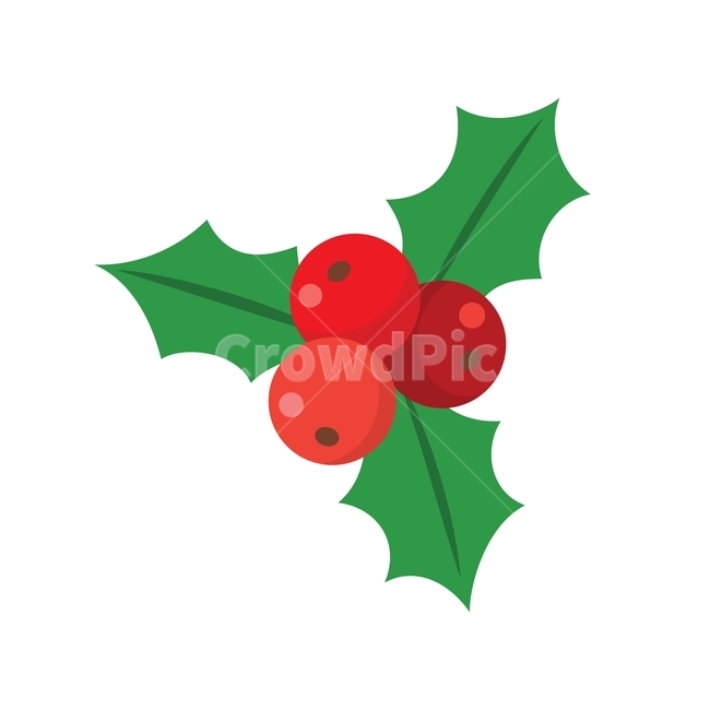 크리스마스,휴일,장식,성탄절,연말,축제,파티,이벤트,12월,일러스트,christmas,식물,season,illustration,vector,berry,leaf,design,decoration,red,겨울,계절,winter,season,메리크리스마스,성탄절,merry christmas,그래픽,일러스트레이션,graphic,illustration