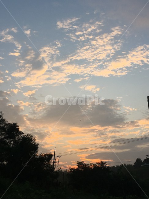 하늘,저녁,노을,구름,여름하늘