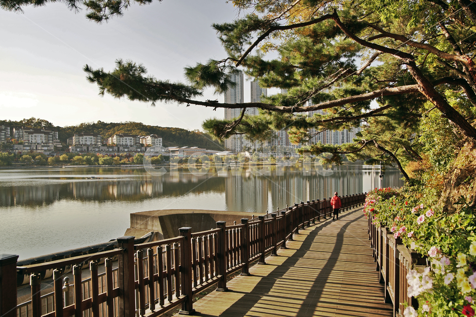 광교호수공원,영통,공원,호수,수원시,탐방로,아파트,반영,한국도시풍경,한국도시경관,korea cityscape