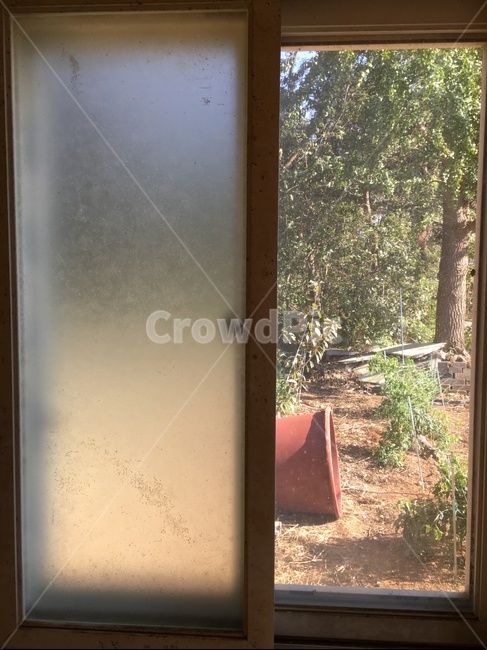 door,문,창문,집,나무