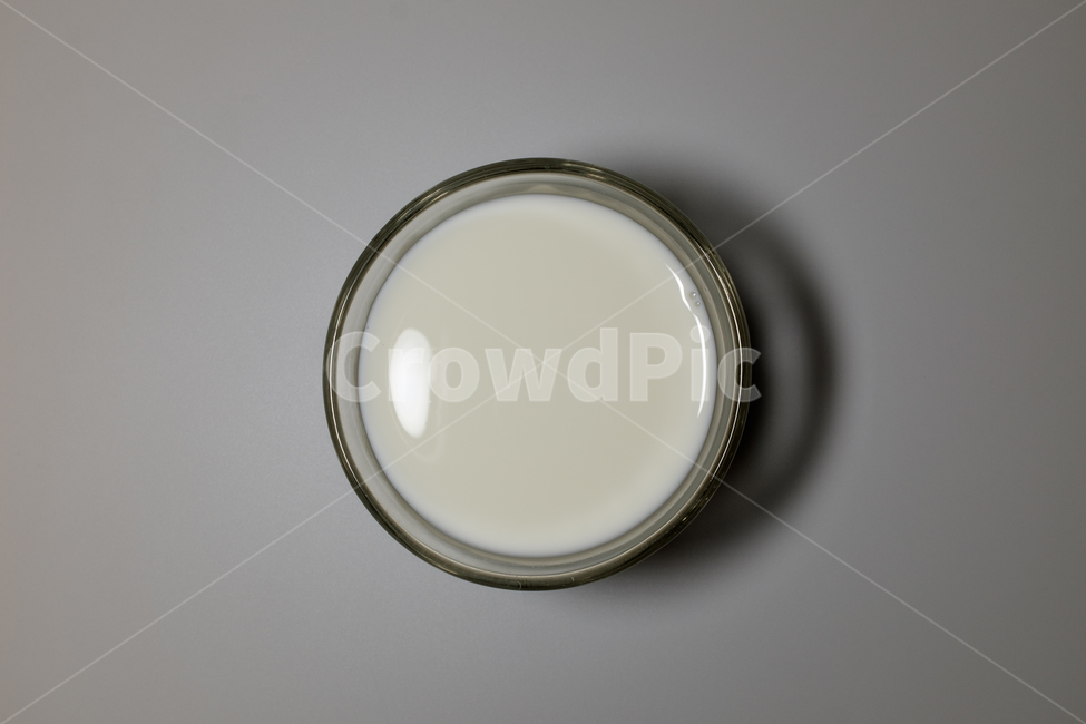 우유,유제품,액체,컵,유가공,식품,음료,신선한,흰색,마실것,맛있는,고소한,후식,재료,식재료,흰우유,지방,가공식품,차가운,음료수,drink,beverage