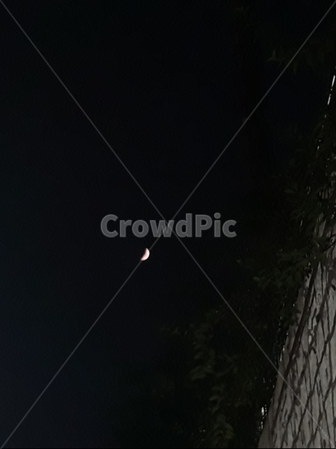 outdoors,옥외,nature,자연,밤하늘,밤,달,달빛,초승달,moon,밤풍경,night,nightsky,야경,밤,풍경,nightscape,night,landscape