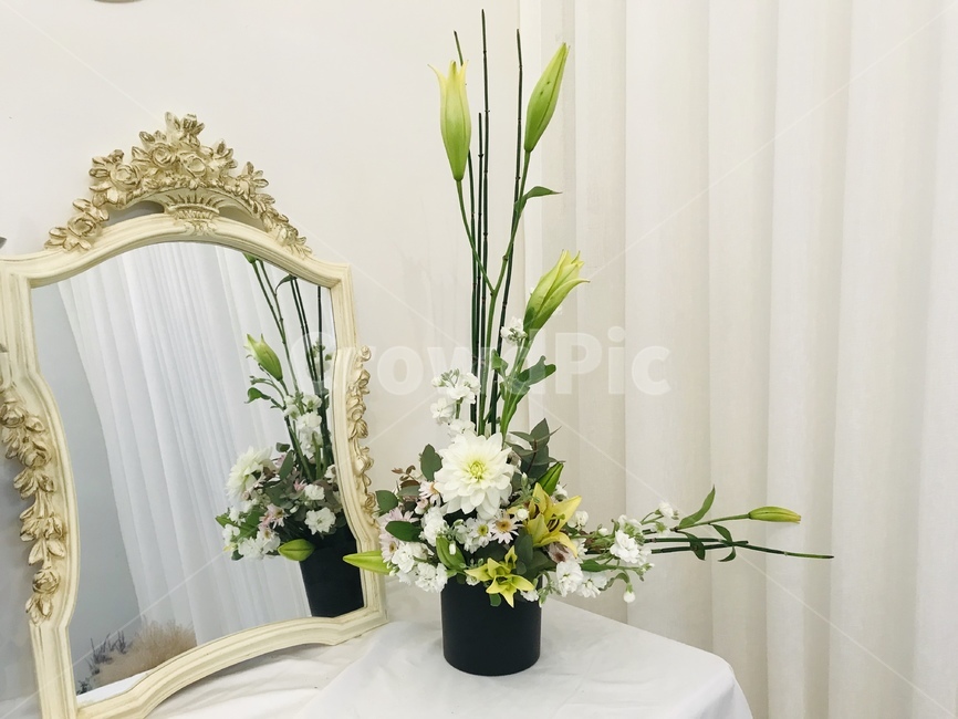 꽃꽂이,꽃,flower,취미,l자형,식물,자연,plants,nature,꽃,flower