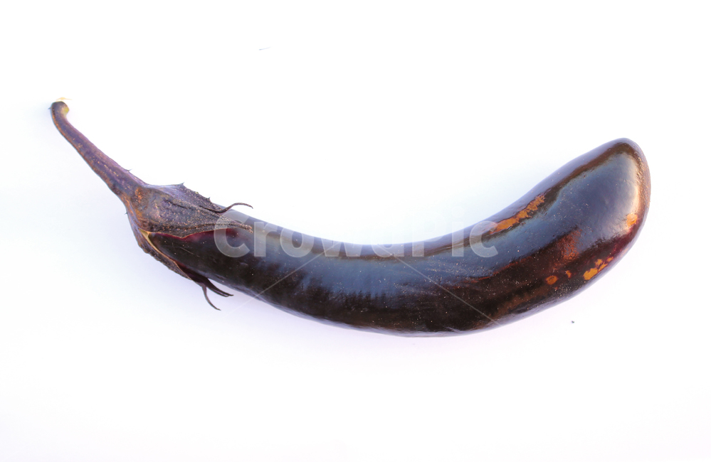 가지,야채,채소,보라색,보라,퍼플,식재료,음식,식물,열매,흰배경,food,vegetables,eggplant,aubergine,violet,purple,음식,식재료,요리,food,cook,meal,dishes,food reserves,채소,야채,vegetables,누끼,remove background