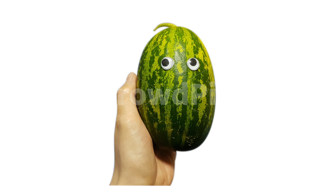과일,파파야,누끼,의인화,참외,과채,열대과일,fruit,papaya,tropical,photoshopping,사람,인물,인간,human,person,신체일부,몸,body,음식,식재료,요리,food,cook,meal,dishes,food reserves,과일,열매,fruit,누끼,remove background