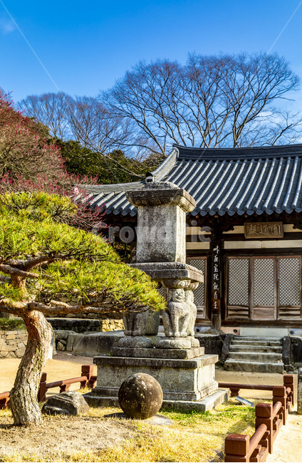 화엄사,사찰,원통전,사자탑,문화유산,문화재,소나무,전통건축물,감성,기와지붕,하늘