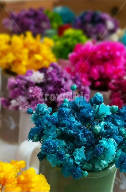 꽃,파랑,보라,노랑,핑크,칼라,종이,조화,color,기쁨,선물,가게,gift,flower,미소,사랑,blue,꽃,flower