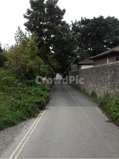 산책,도로,통로,복도,나무,골목길,alley,outdoors,옥외,road,asphalt,아스팔트