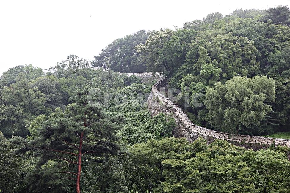 남한산성,성,성곽,숲,숲길,길,둘레길,벽,담,돌담,풍경,여름