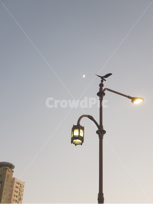 달,초승달,감성,가로등,하늘,초롱,해질녘,조명,등불,moon,traditional,lamp,crescentmoon,newmoon,nightfall,light,streetlight,sensitivity