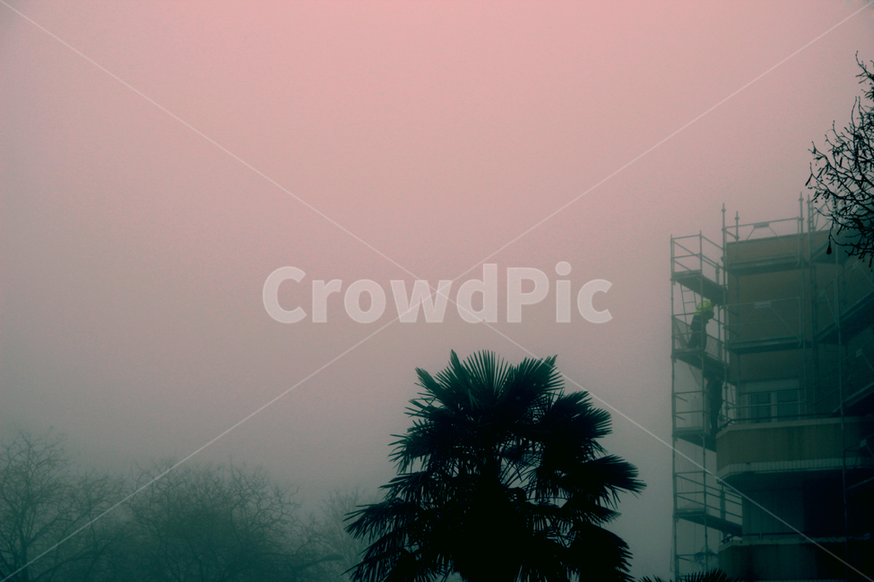 풍경,나무,새벽,안개,건물,감성,하늘,가로수,공사,인부,고요함,한적함,감성,sensible,feeling,건축물,건물외관,exterior,building,structure,architecture,construction