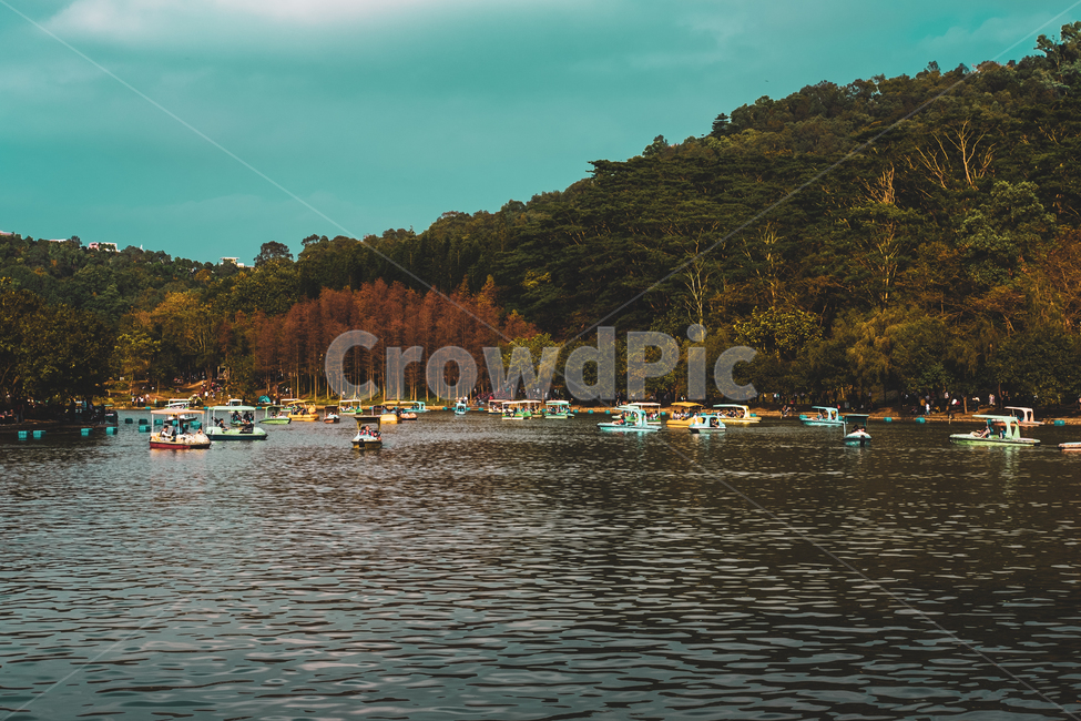 호수,공원,보트,가을,단풍,자연,풍경,nature,landscape,watercraft,선박,vehicle,차량,transportation,교통,water,물