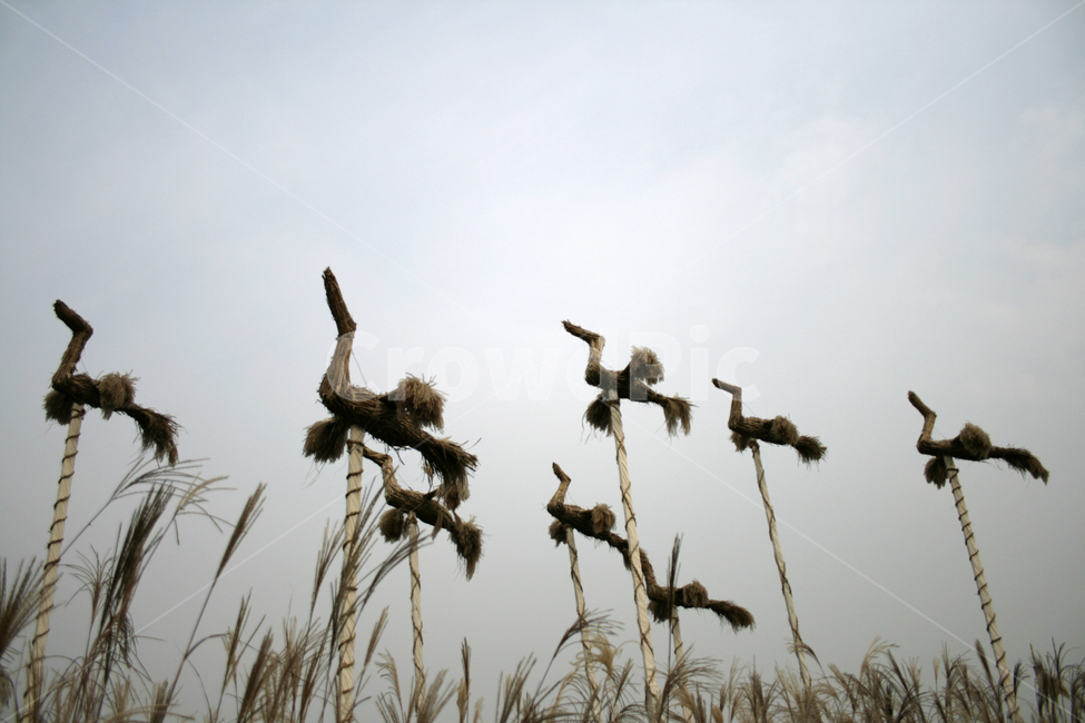 솟대,짚,새,하늘,억새,가을,계절,fall,autumn,season,조각상,동상,석상,조형물,statue,bronze statue,stone statue,plant,식물,grass,잔디